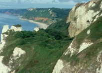 Beer Headland and the leafy walk down to Branscombe